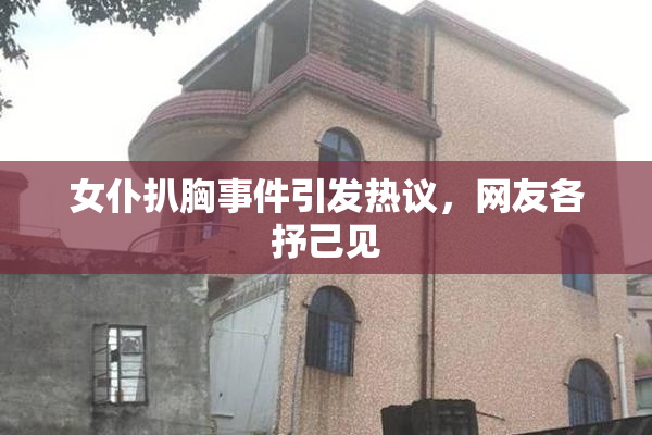 女仆扒胸事件引发热议，网友各抒己见