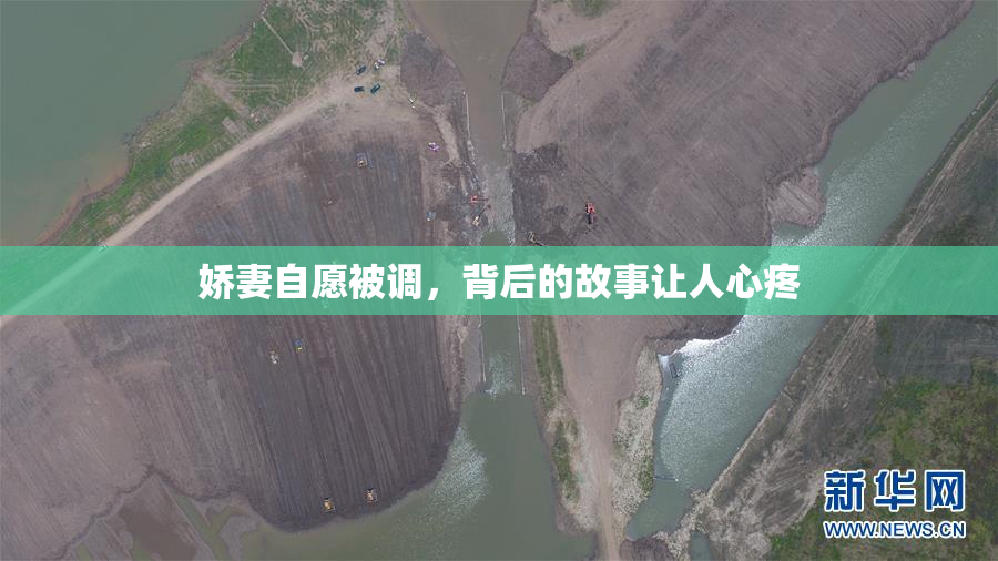 娇妻自愿被调，背后的故事让人心疼