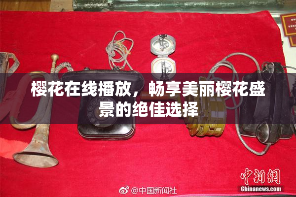 樱花在线播放，畅享美丽樱花盛景的绝佳选择