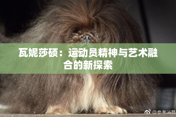 瓦妮莎硕：运动员精神与艺术融合的新探索