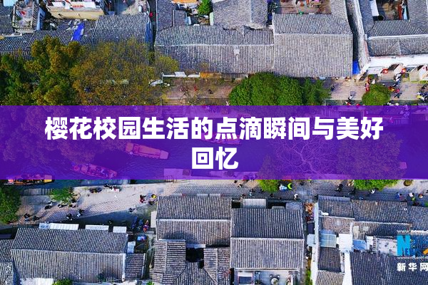 樱花校园生活的点滴瞬间与美好回忆