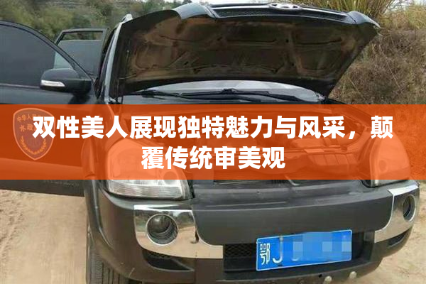 双性美人展现独特魅力与风采，颠覆传统审美观
