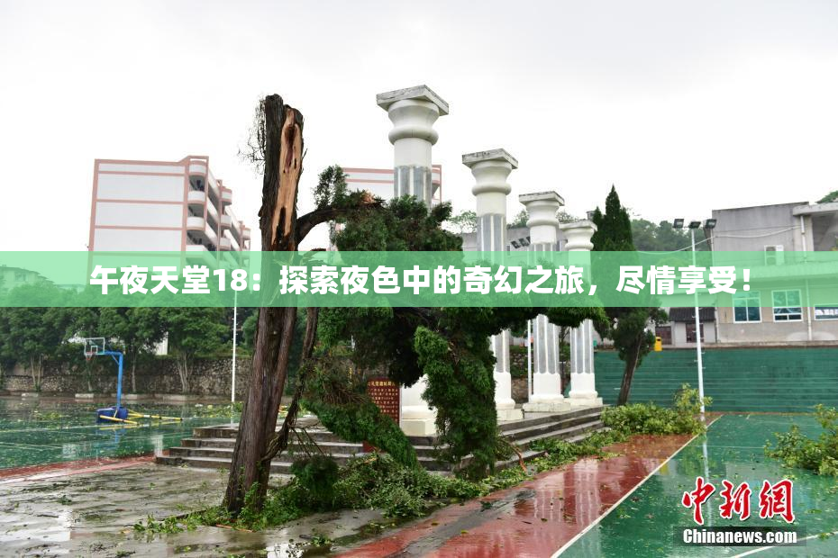 午夜天堂18：探索夜色中的奇幻之旅，尽情享受！