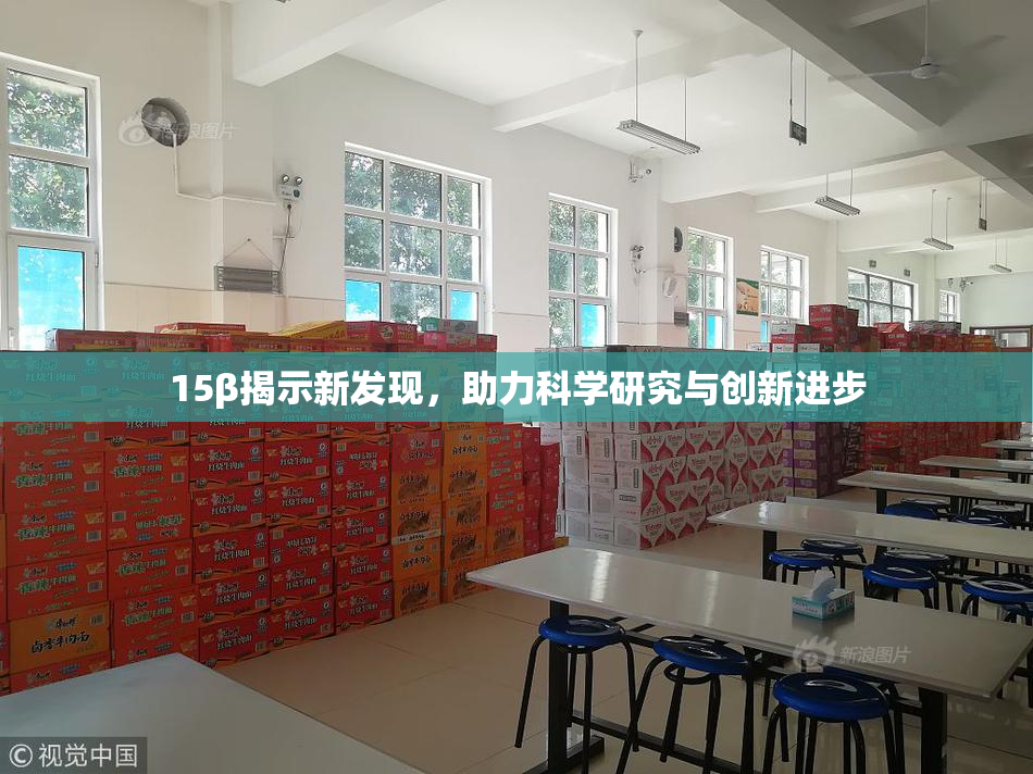 15β揭示新发现，助力科学研究与创新进步