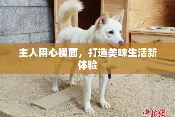 主人用心揉面，打造美味生活新体验