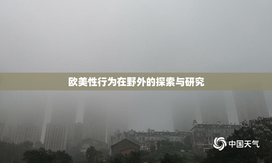 欧美性行为在野外的探索与研究