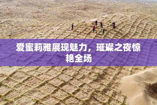 爱蜜莉雅展现魅力，璀璨之夜惊艳全场
