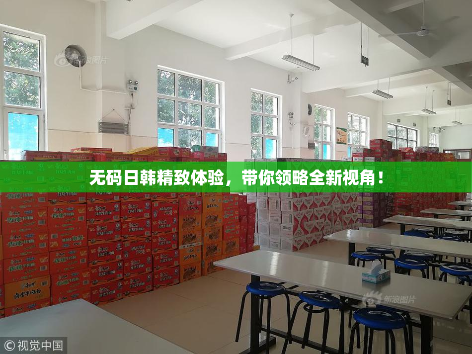 无码日韩精致体验，带你领略全新视角！