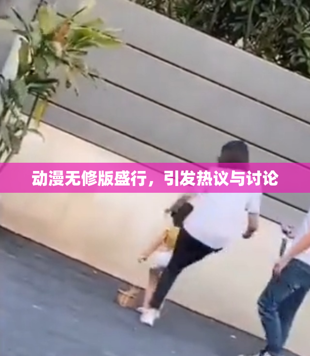 动漫无修版盛行，引发热议与讨论