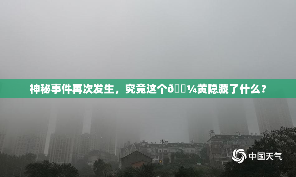 神秘事件再次发生，究竟这个🌼黄隐藏了什么？