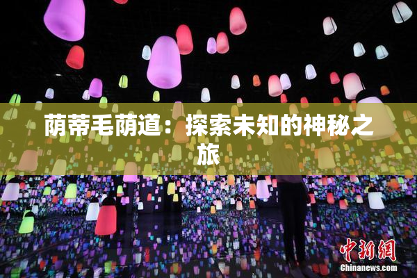 荫蒂毛荫道：探索未知的神秘之旅