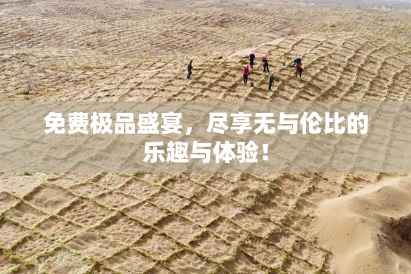 免费极品盛宴，尽享无与伦比的乐趣与体验！