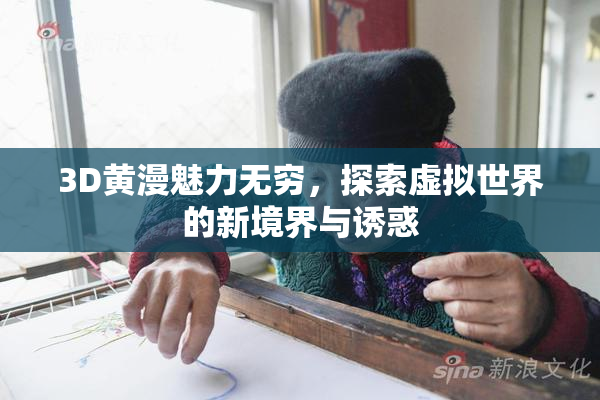 3D黄漫魅力无穷，探索虚拟世界的新境界与诱惑