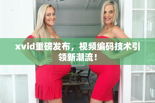 xvid重磅发布，视频编码技术引领新潮流！