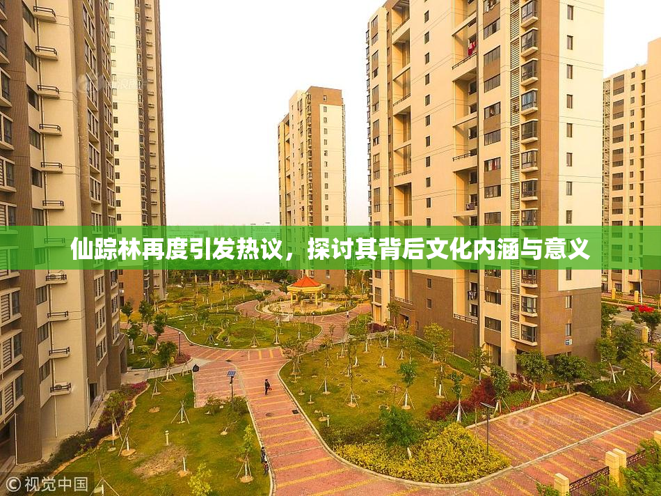 仙踪林再度引发热议，探讨其背后文化内涵与意义