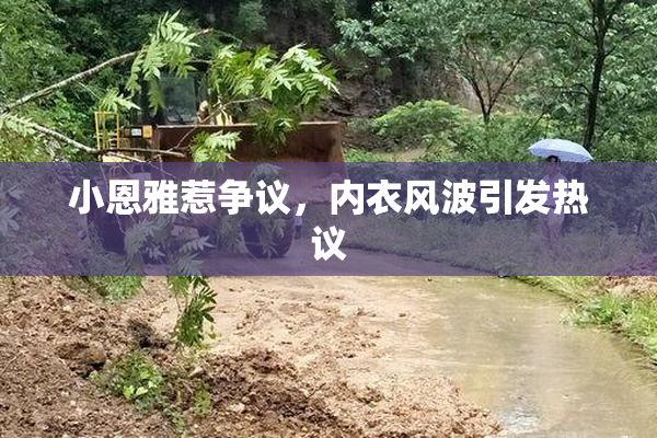 小恩雅惹争议，内衣风波引发热议