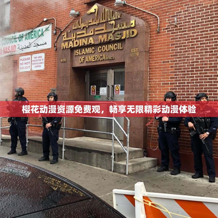 樱花动漫资源免费观，畅享无限精彩动漫体验