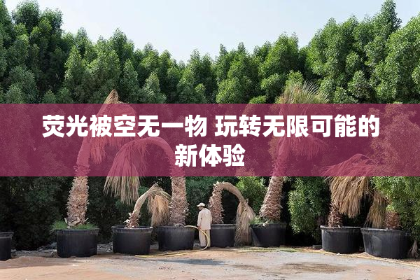 荧光被空无一物 玩转无限可能的新体验