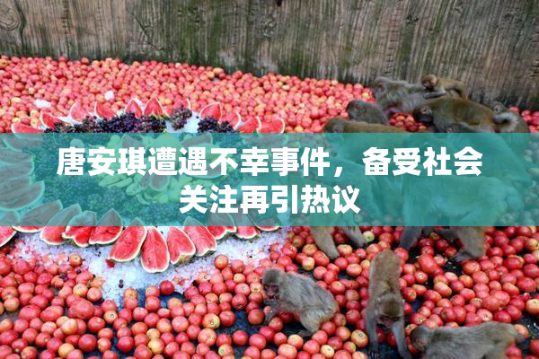 唐安琪遭遇不幸事件，备受社会关注再引热议