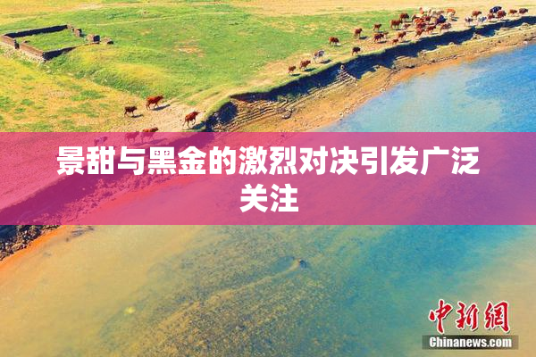 景甜与黑金的激烈对决引发广泛关注