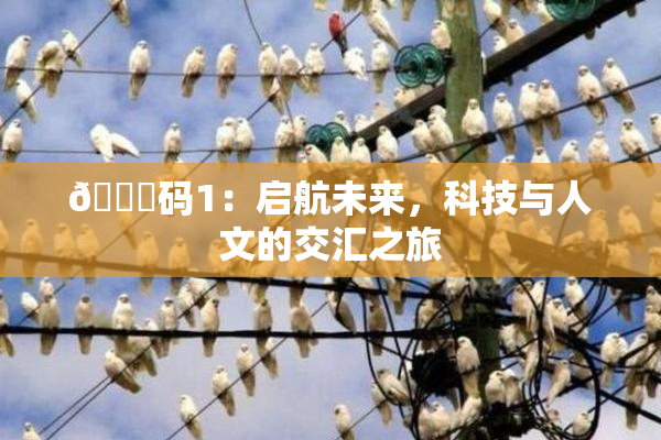 🈚码1：启航未来，科技与人文的交汇之旅