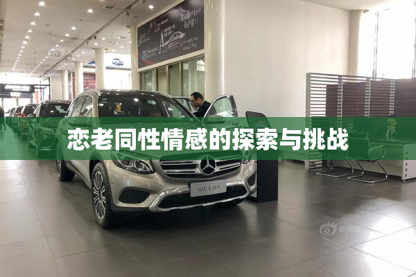 恋老同性情感的探索与挑战