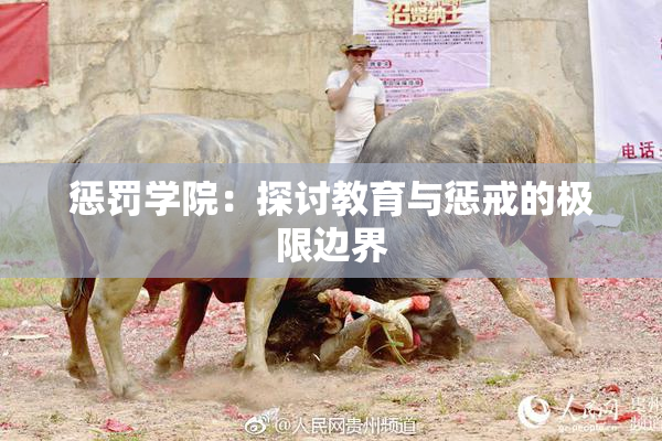 惩罚学院：探讨教育与惩戒的极限边界