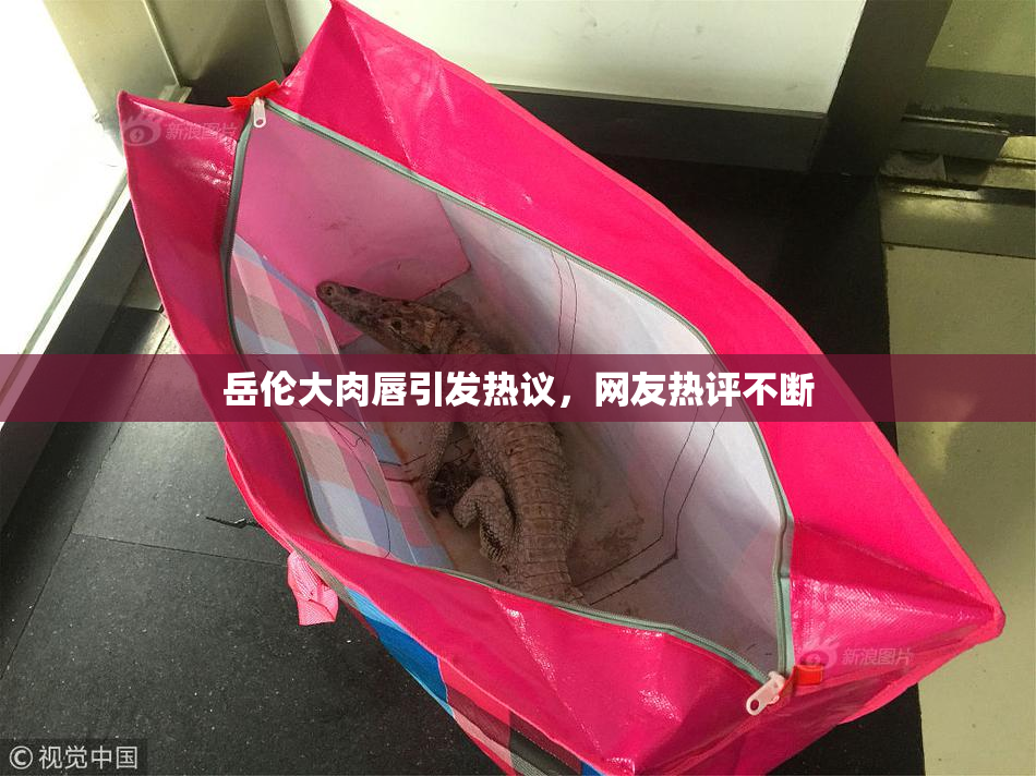 岳伦大肉唇引发热议，网友热评不断