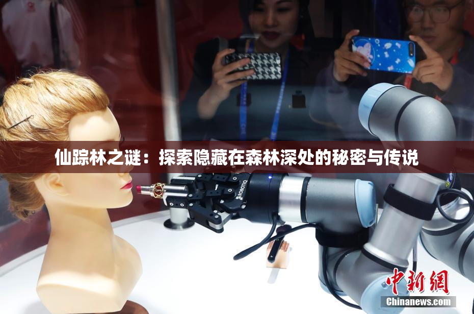 仙踪林之谜：探索隐藏在森林深处的秘密与传说