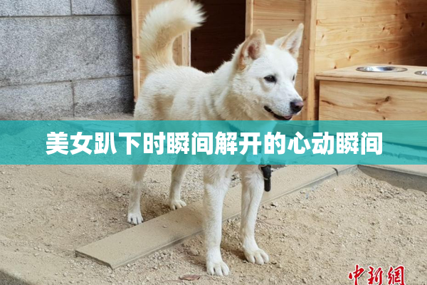美女趴下时瞬间解开的心动瞬间