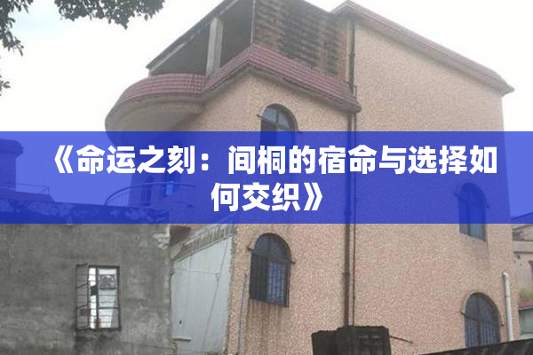 《命运之刻：间桐的宿命与选择如何交织》