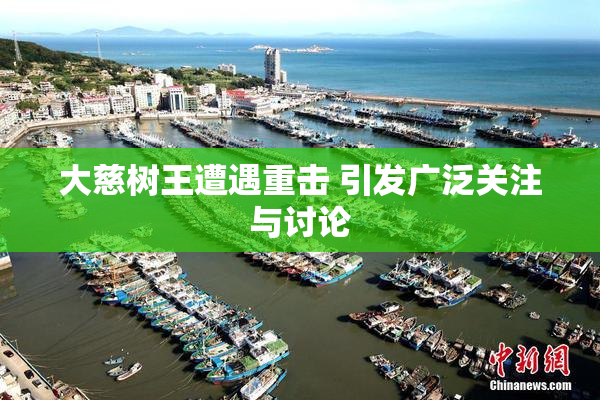 大慈树王遭遇重击 引发广泛关注与讨论