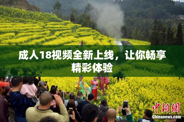 成人18视频全新上线，让你畅享精彩体验