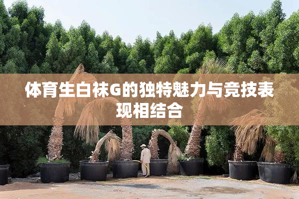 体育生白袜G的独特魅力与竞技表现相结合