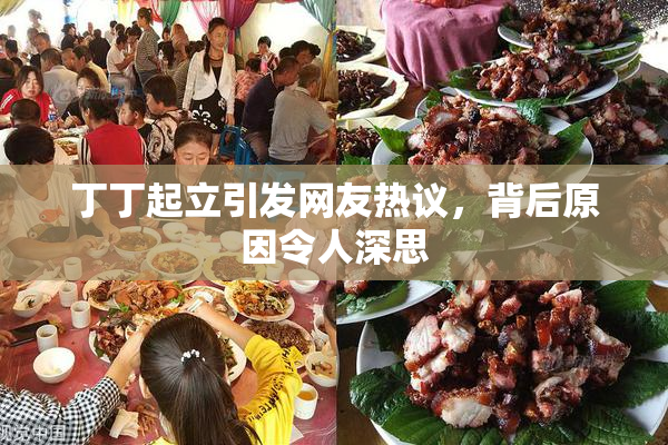丁丁起立引发网友热议，背后原因令人深思