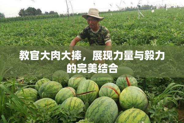 教官大肉大捧，展现力量与毅力的完美结合