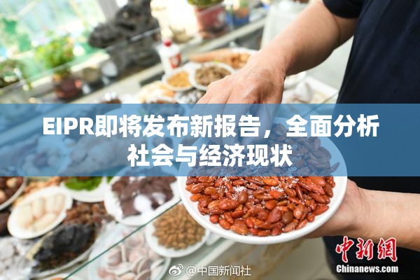 EIPR即将发布新报告，全面分析社会与经济现状
