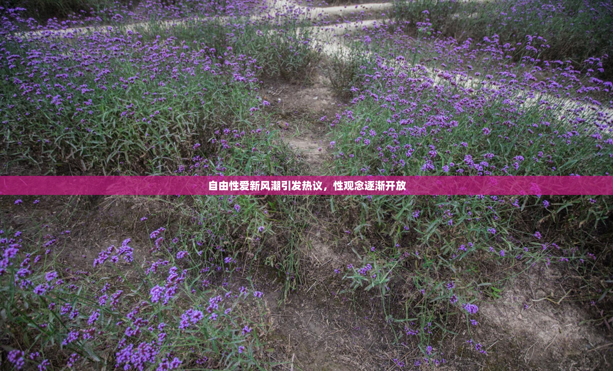 自由性爱新风潮引发热议，性观念逐渐开放
