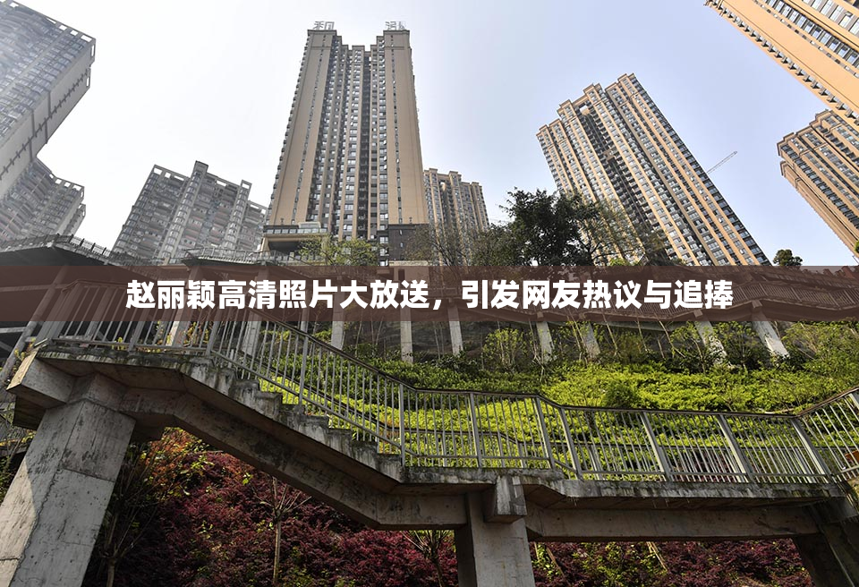 赵丽颖高清照片大放送，引发网友热议与追捧