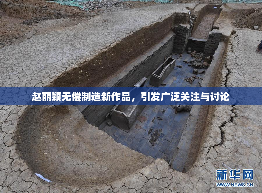 赵丽颖无偿制造新作品，引发广泛关注与讨论