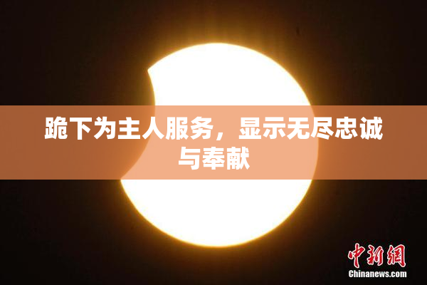 跪下为主人服务，显示无尽忠诚与奉献