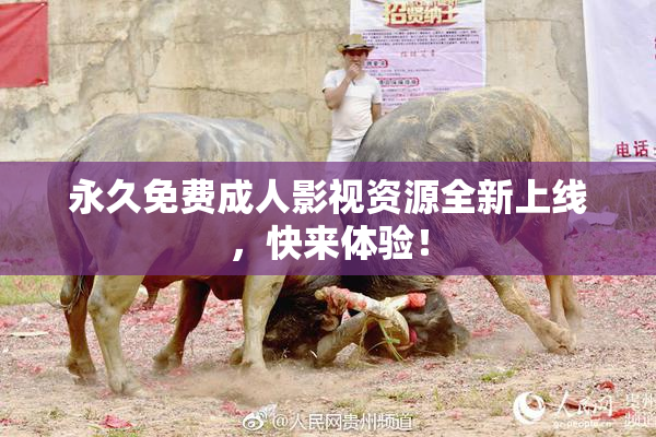 永久免费成人影视资源全新上线，快来体验！