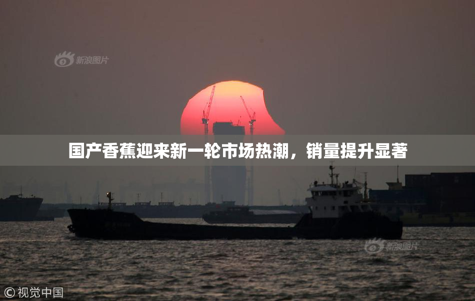 国产香蕉迎来新一轮市场热潮，销量提升显著