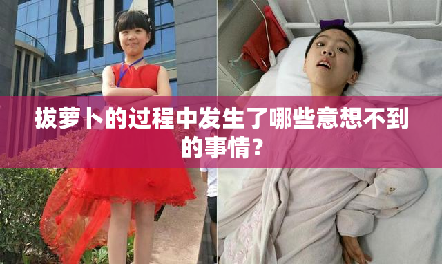 拔萝卜的过程中发生了哪些意想不到的事情？