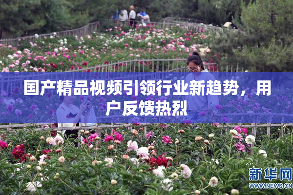 国产精品视频引领行业新趋势，用户反馈热烈