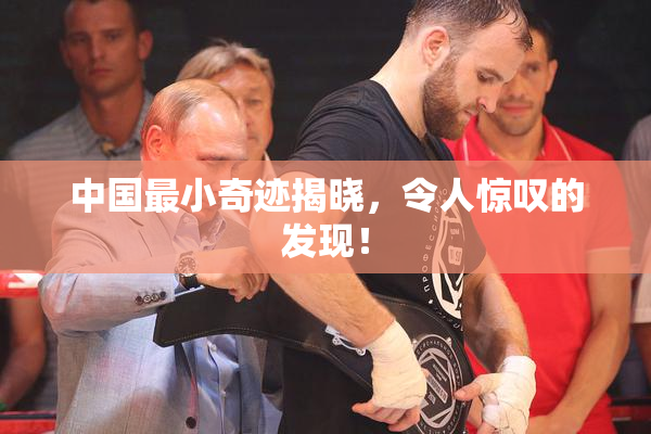 中国最小奇迹揭晓，令人惊叹的发现！