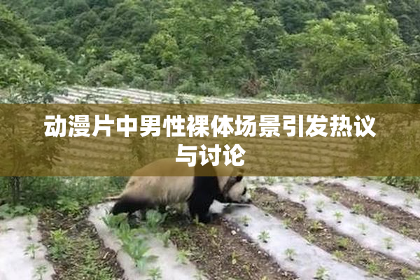 动漫片中男性裸体场景引发热议与讨论