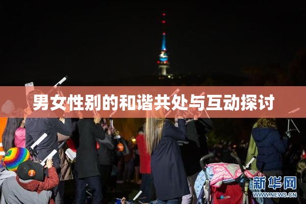 男女性别的和谐共处与互动探讨