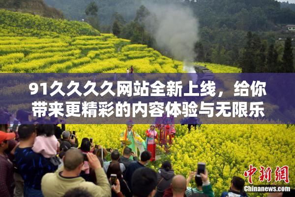 91久久久久网站全新上线，给你带来更精彩的内容体验与无限乐趣！