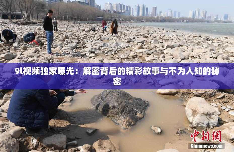 9l视频独家曝光：解密背后的精彩故事与不为人知的秘密